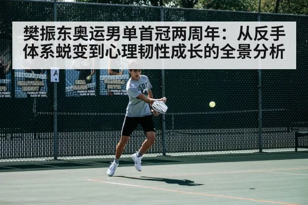 樊振东奥运男单首冠两周年：从反手体系蜕变到心理韧性成长的全景分析